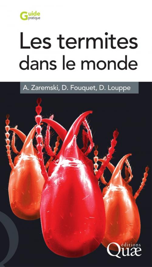 Cover of the book Les termites dans le monde by Alba Zaremski, Daniel Fouquet, Dominique Louppe, Quae