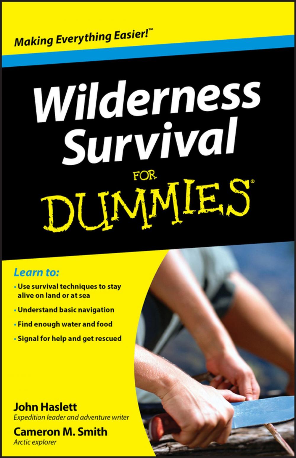 Big bigCover of Wilderness Survival For Dummies