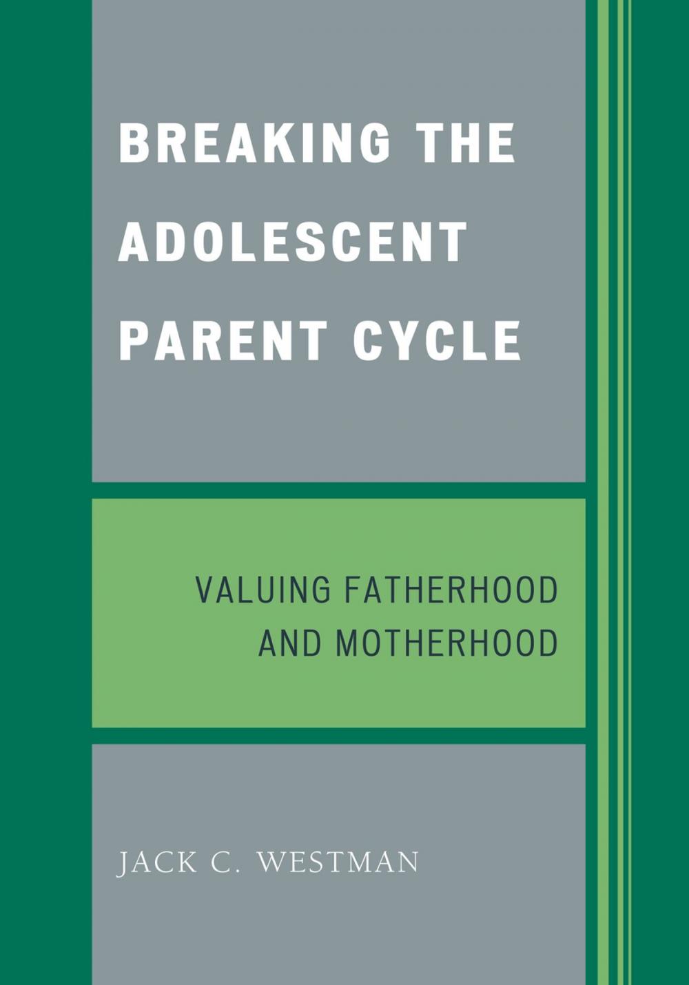 Big bigCover of Breaking the Adolescent Parent Cycle