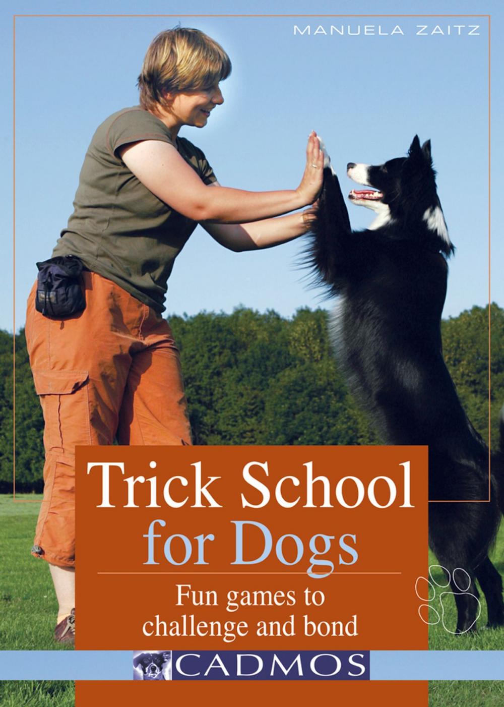 Big bigCover of Trick School for Dogs: Fun Games to Challenge and Bond