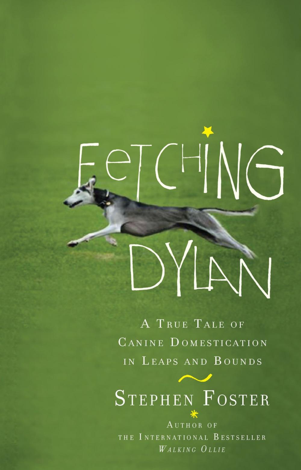 Big bigCover of Fetching Dylan