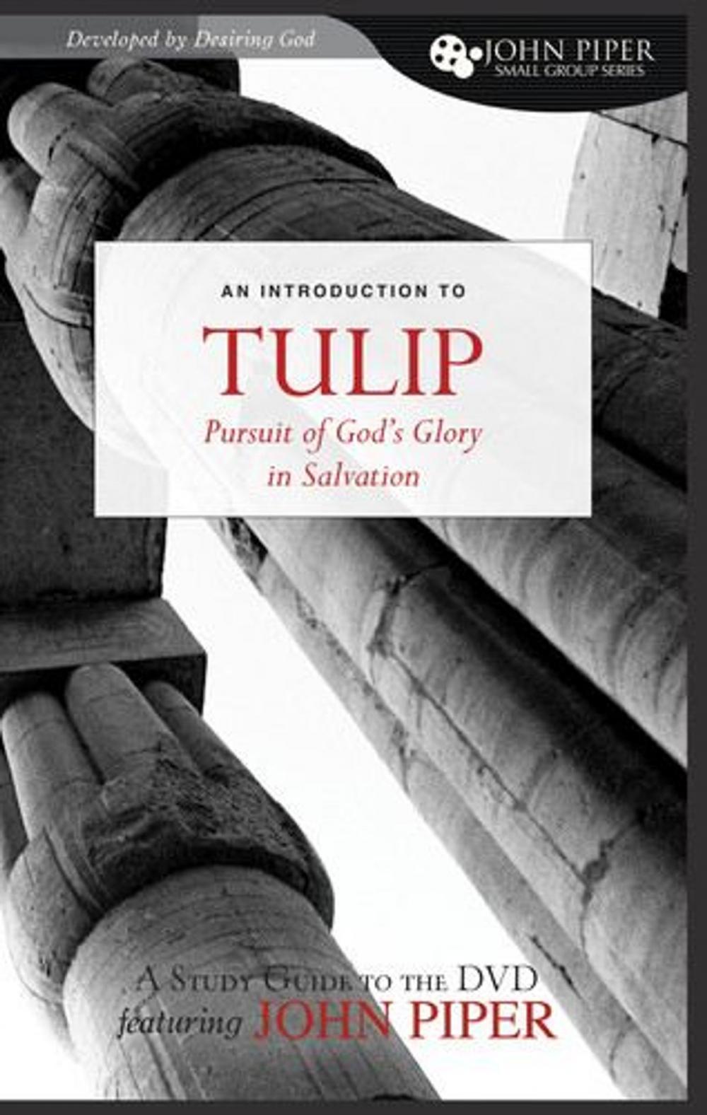 Big bigCover of TULIP (A Study Guide to the DVD Featuring John Piper): The Pursuit of God's Glory in Salvation