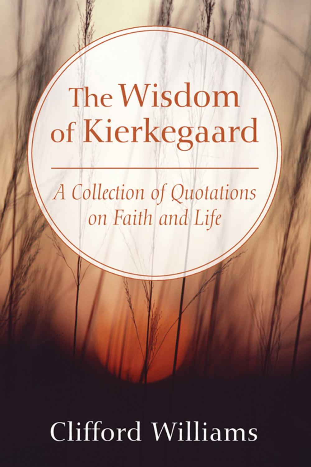 Big bigCover of The Wisdom of Kierkegaard