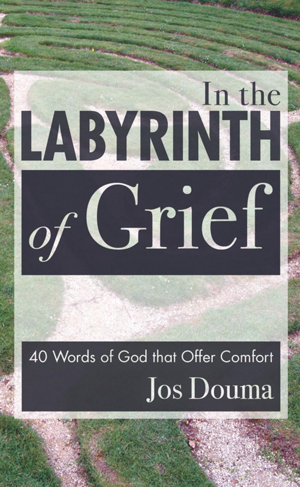 Big bigCover of In the Labyrinth of Grief