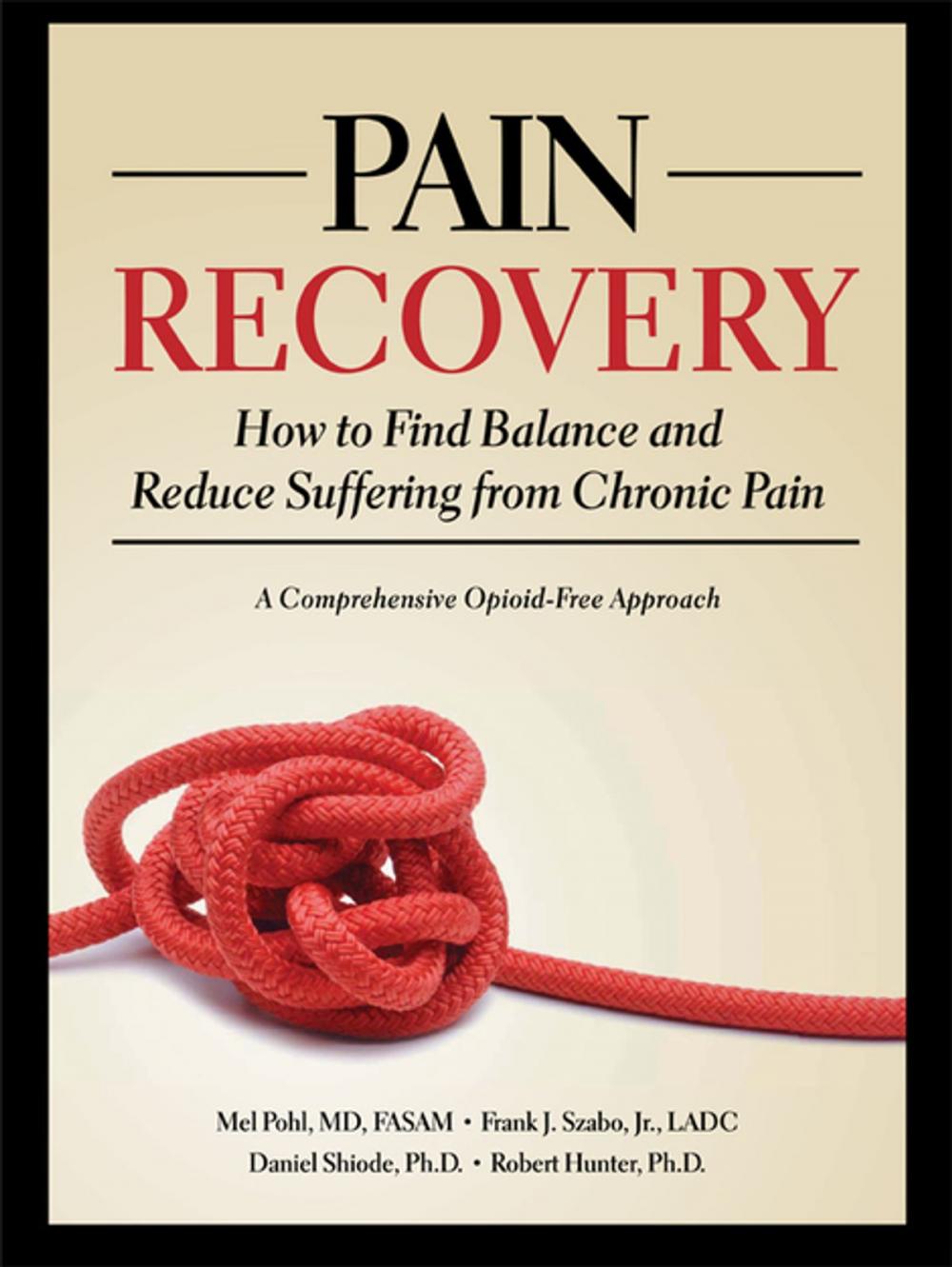 Big bigCover of Pain Recovery
