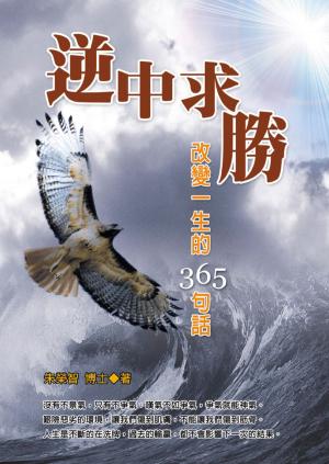 Cover of the book 逆中求勝 by Scott Johnson
