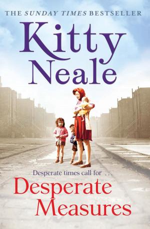 Cover of the book Desperate Measures by Diane Jeffrey