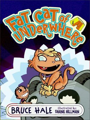 Cover of the book Fat Cat of Underwhere by Alexandre Stone