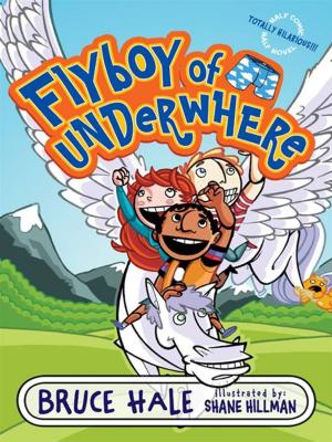 Cover of the book Flyboy of Underwhere by S C Hamill