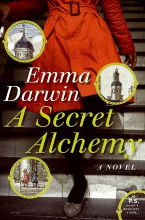 Cover of the book A Secret Alchemy by Armistead Maupin