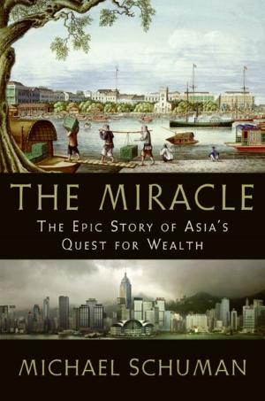Cover of the book The Miracle by David Feldman