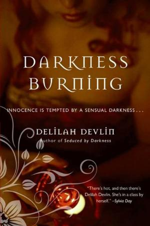 Cover of the book Darkness Burning by Jacqueline Winspear