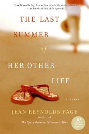 Book cover of The Last Summer of Her Other Life