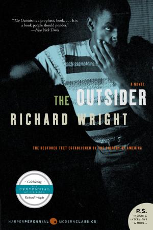 Cover of the book The Outsider by Fergus Bordewich