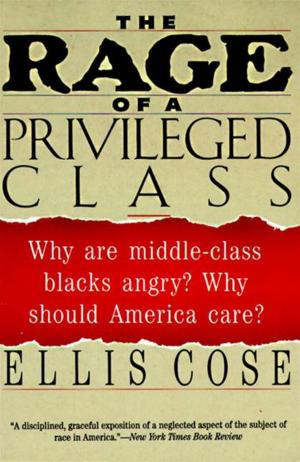 Cover of the book The Rage of a Privileged Class by Ami McKay