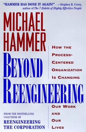 Book cover of Beyond Reengineering