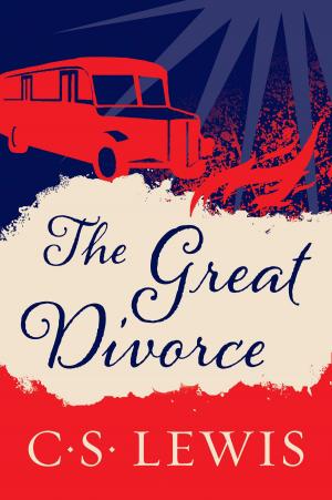 Cover of the book The Great Divorce by Kari Byron
