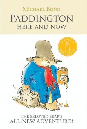 Book cover of Paddington Here and Now