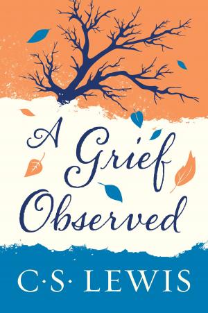 Cover of the book A Grief Observed by Lorin Roche
