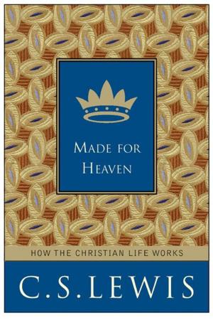 Cover of the book Made for Heaven by Stephen J. Patterson