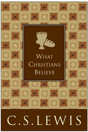 Cover of the book What Christians Believe by Cleary Wolters