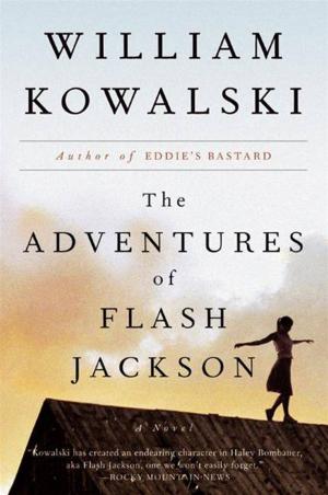 Book cover of The Adventures of Flash Jackson
