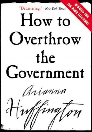Cover of the book How to Overthrow the Government by Annie Dillard
