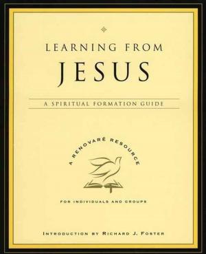 Cover of the book Learning from Jesus by Rob Bell
