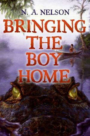 Cover of the book Bringing the Boy Home by Julie Affleck
