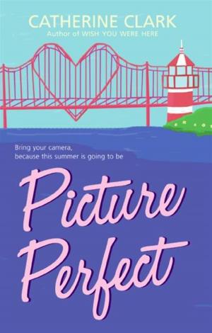 Cover of the book Picture Perfect by Diana Peterfreund