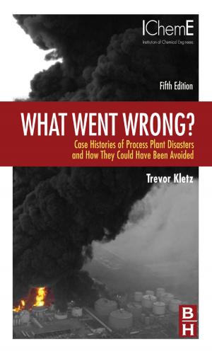 Cover of the book What Went Wrong? by Eric Scriven, Christopher A. Ramsden