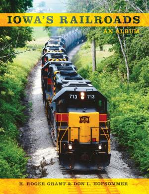 Cover of the book Iowa's Railroads by Martin Heidegger