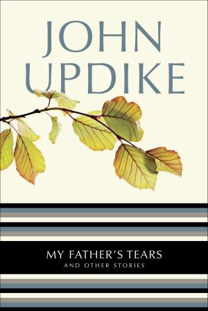 Book cover of My Father's Tears