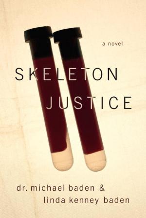 Book cover of Skeleton Justice