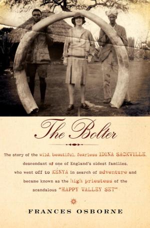 Cover of the book The Bolter by Mary Gordon