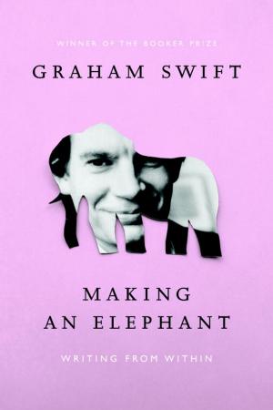 bigCover of the book Making an Elephant by 