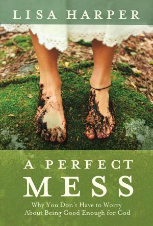 Cover of the book A Perfect Mess by Timothy Paul Jones