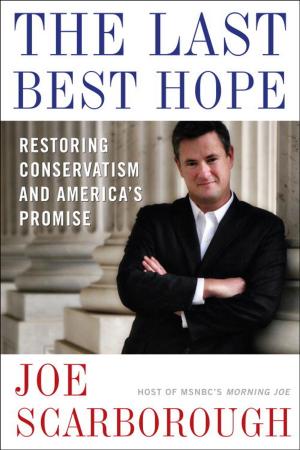 Cover of the book The Last Best Hope by John Bolin