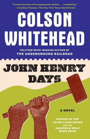 Cover of the book John Henry Days by John Twelve Hawks