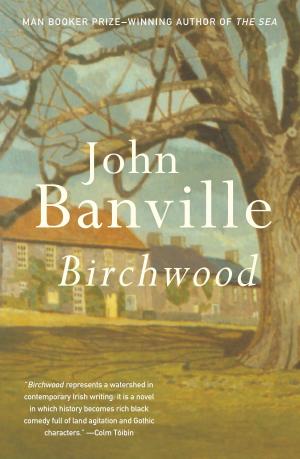 Cover of the book Birchwood by Ann Beattie