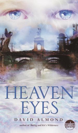 Cover of the book Heaven Eyes by Julia Alvarez