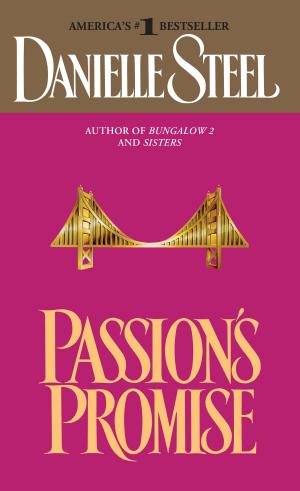 Cover of the book Passion's Promise by Lisa G. Riley