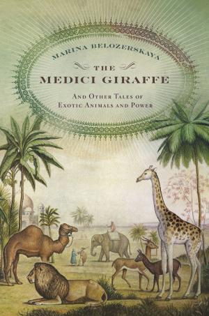 Cover of the book The Medici Giraffe by Chris Holm