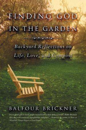 Cover of the book Finding God in the Garden by JM Holmes