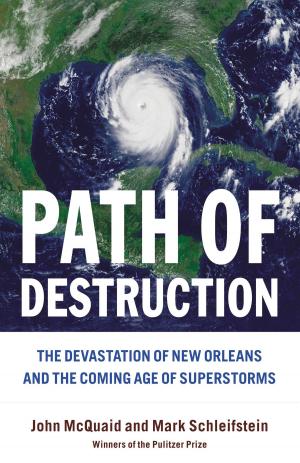 Book cover of Path of Destruction