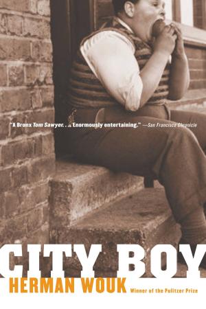 bigCover of the book City Boy by 