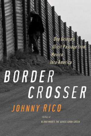 Cover of the book Border Crosser by Edward M. Hallowell, M.D.