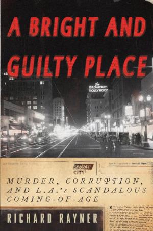 Cover of the book A Bright and Guilty Place by John Rember