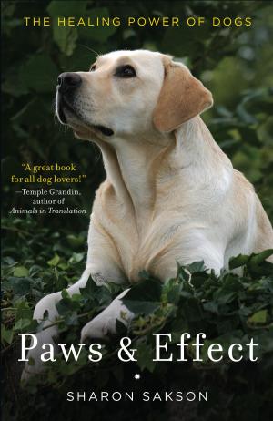 Cover of the book Paws & Effect by Lea Griffith