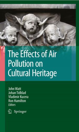 Cover of the book The Effects of Air Pollution on Cultural Heritage by Lothar Leistner, Grahame W. Gould